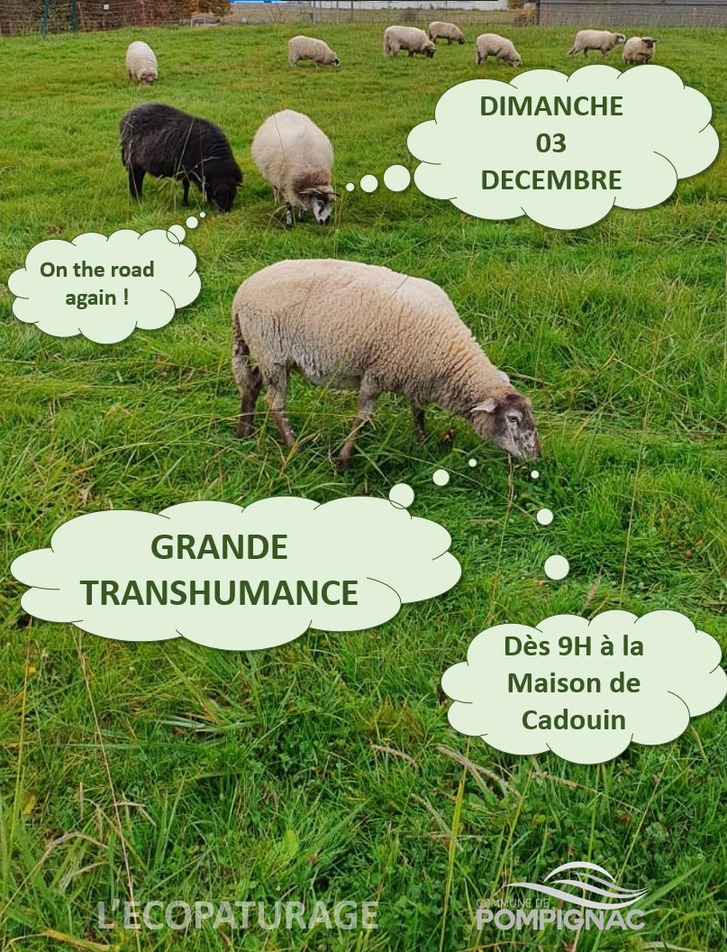 Transhumance 03 12 2023