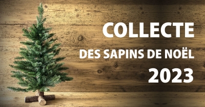 Collecte des sapins de Noël