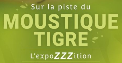 TOUT SUR LE MOUSTIQUE TIGRE !!